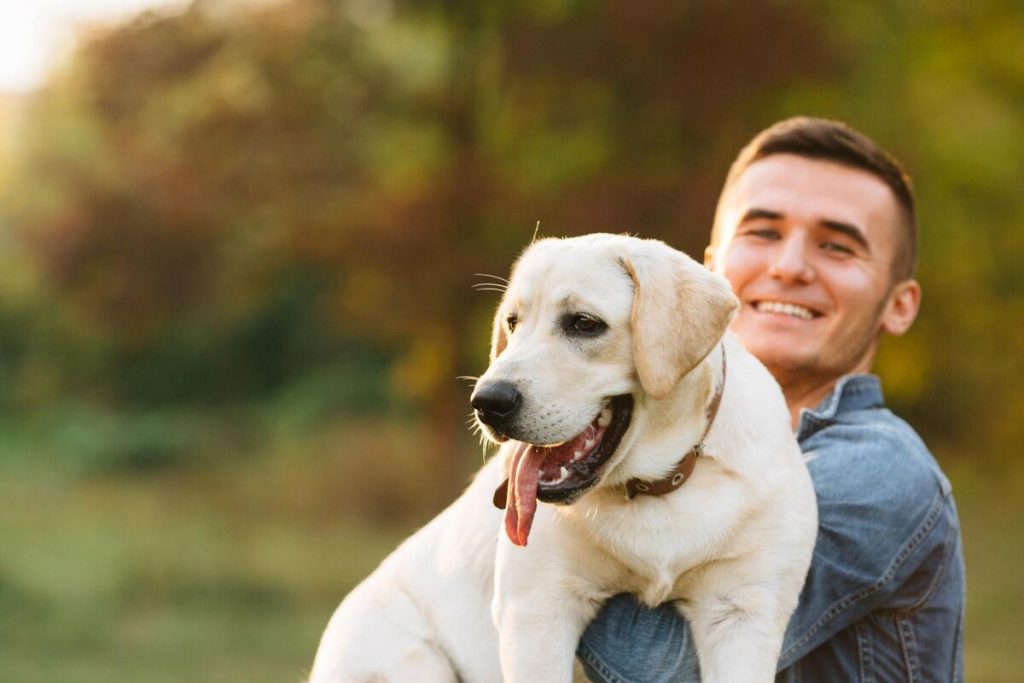 getting a puppy or adopting an old, adorable Lab,