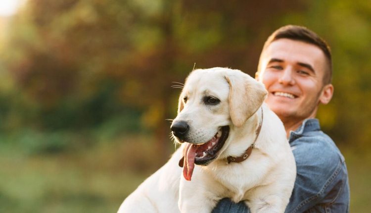 getting a puppy or adopting an old, adorable Lab,