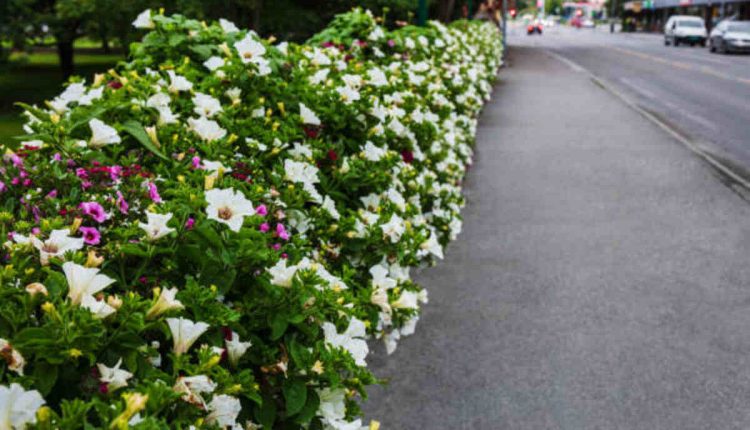 444 South Flower Street Parking Structure