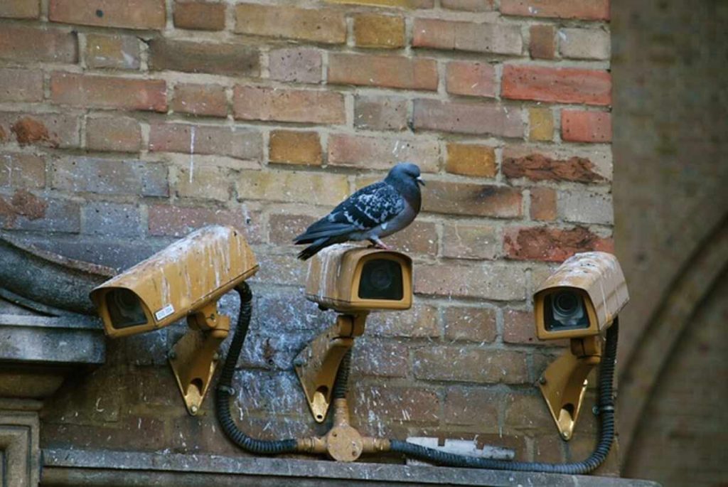 wifi spy camera