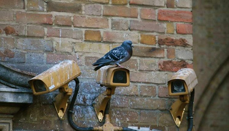 wifi spy camera
