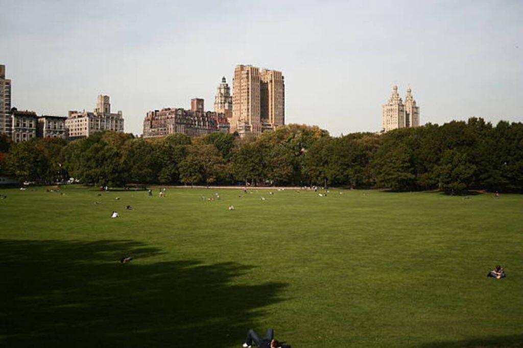 central park lawn