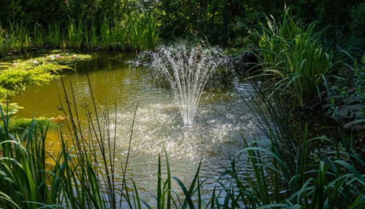 Garden Lakes Are More Than Just An Ornamental Feature