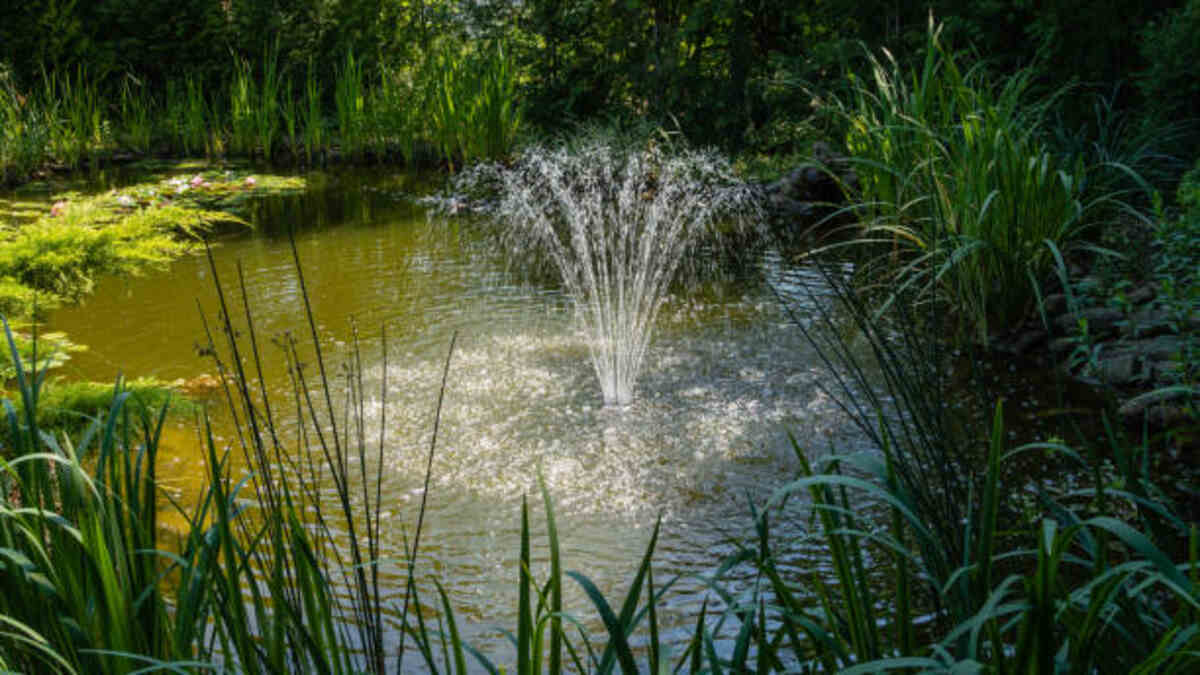 Garden Lakes Are More Than Just An Ornamental Feature