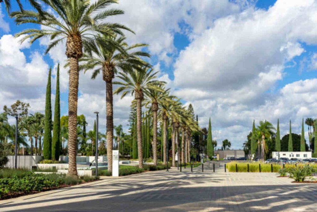 Garden Grove Alano Club - Recover From Alcoholism, Drug Addiction and Opioid Addiction