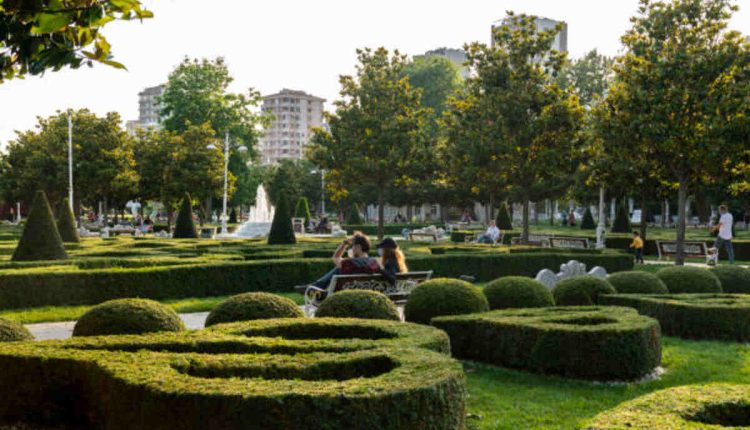 Garden Just Outside an Entrance Crossword Clue