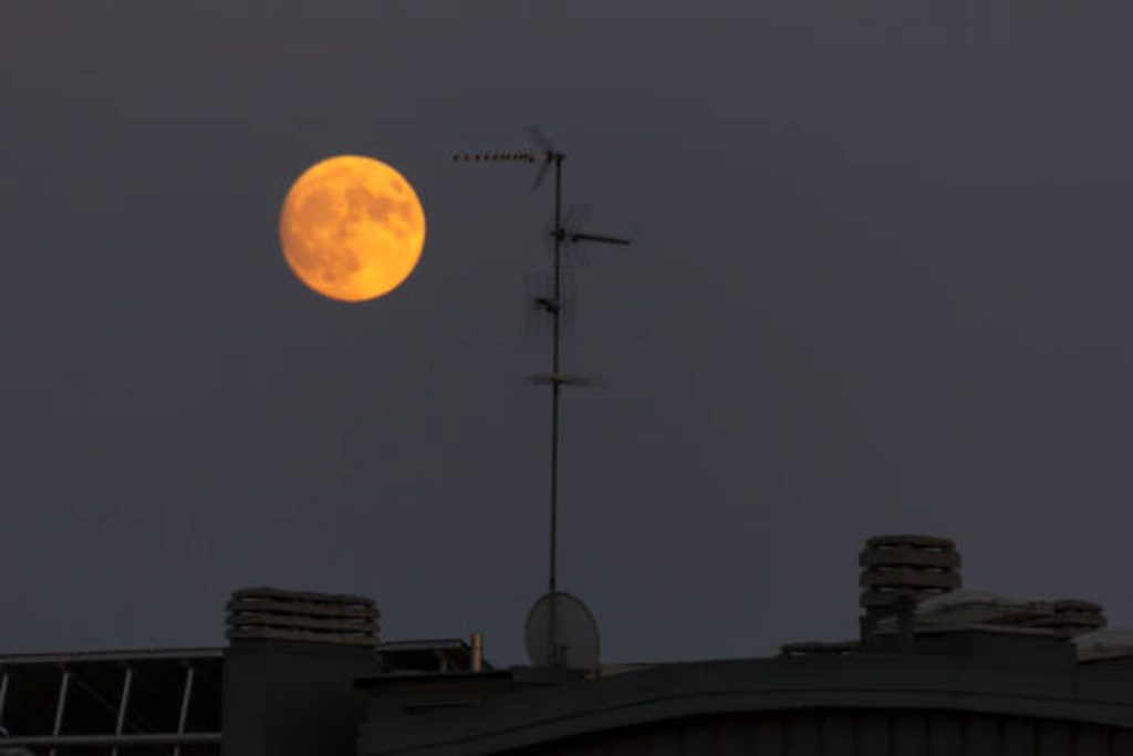 Moon and Venus in the 8th House Synastry