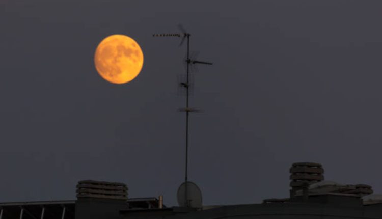 Moon and Venus in the 8th House Synastry