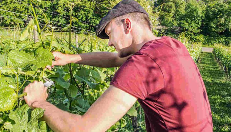 Solo Farming in the Tower - Chapter