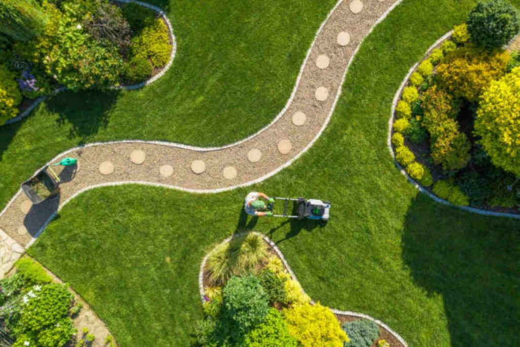 Trio Landscaping Las Vegas