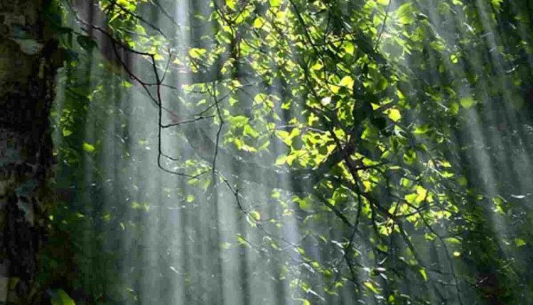 biocentrism debunked