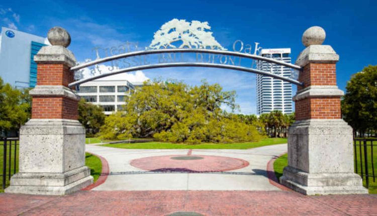Fire and Glory at the World Equestrian Center at Ocala, Florida