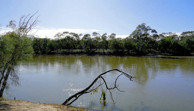 Cache River National Wildlife Refuge