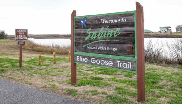 Louisiana State Plumbing Board