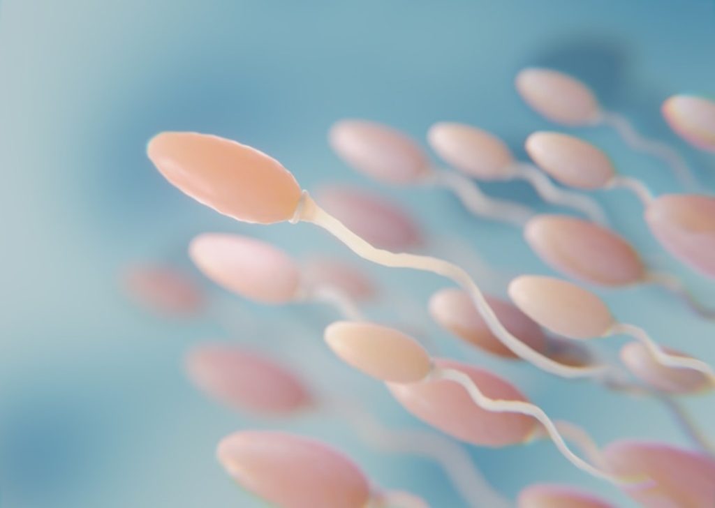 azoospermia treatment in Chennai