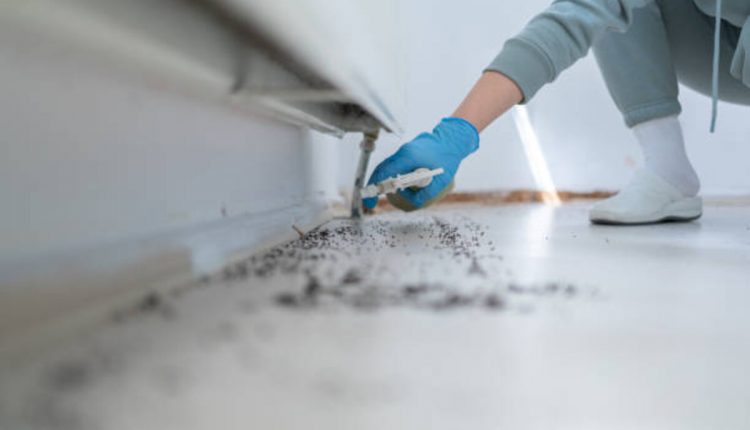 Whittier Pest Control