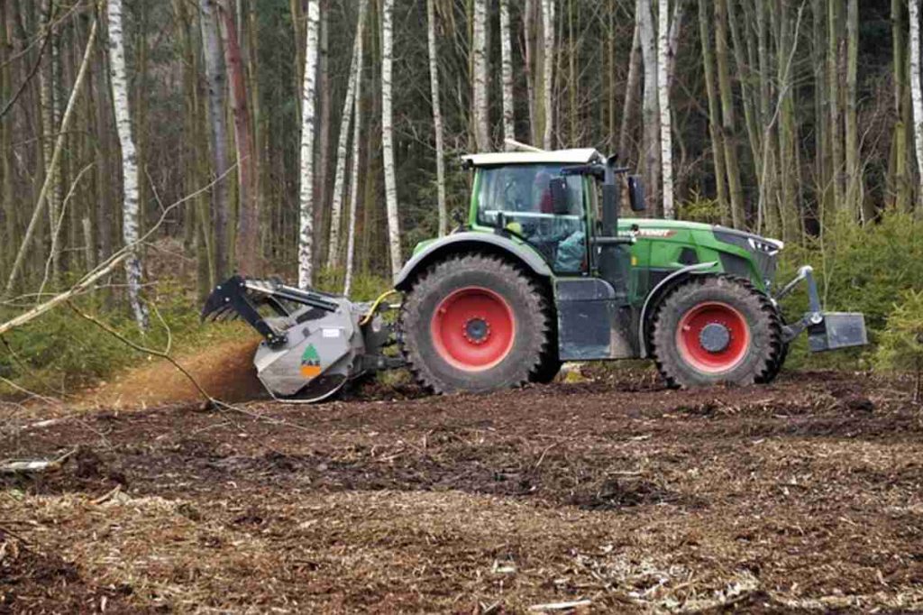 Tree Services Contractor