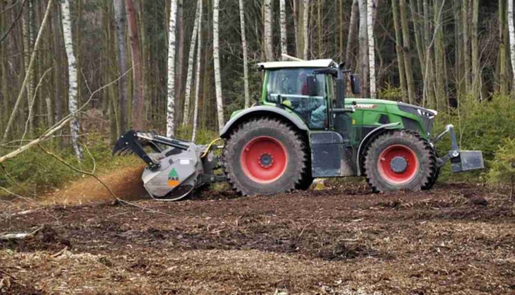 Tree Services Contractor