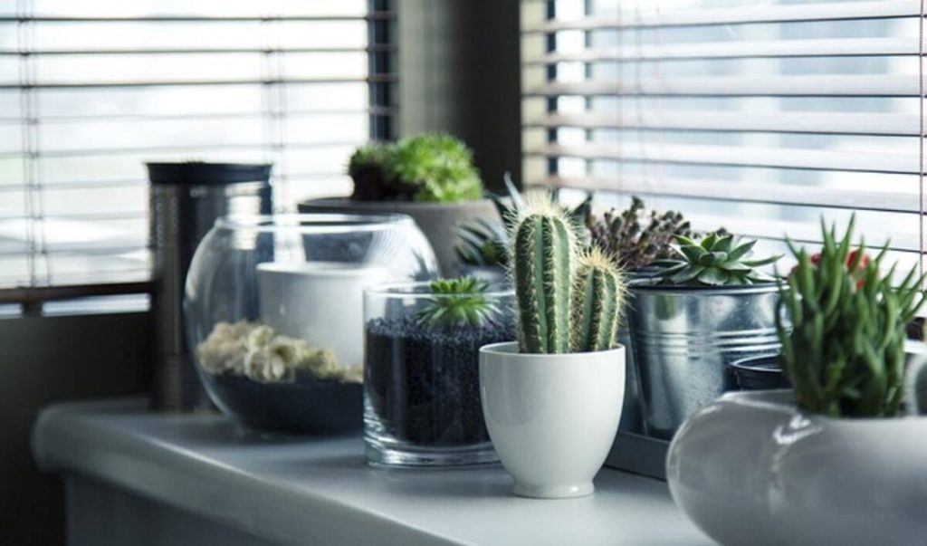 Home Decor Items That Show Off Your Personality