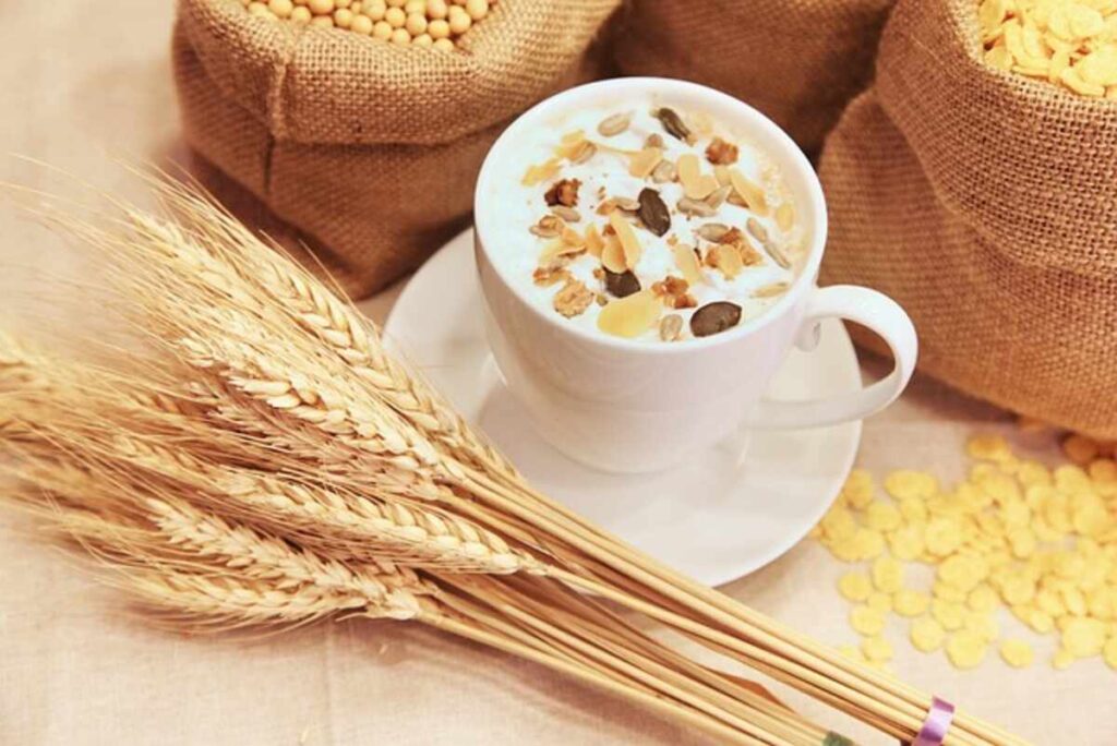 Meal Processing Machine Products