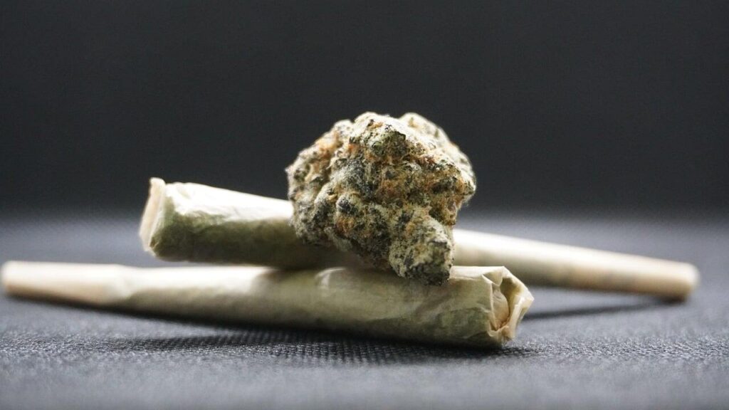 Understanding the Non Psychoactive Cannabinoid