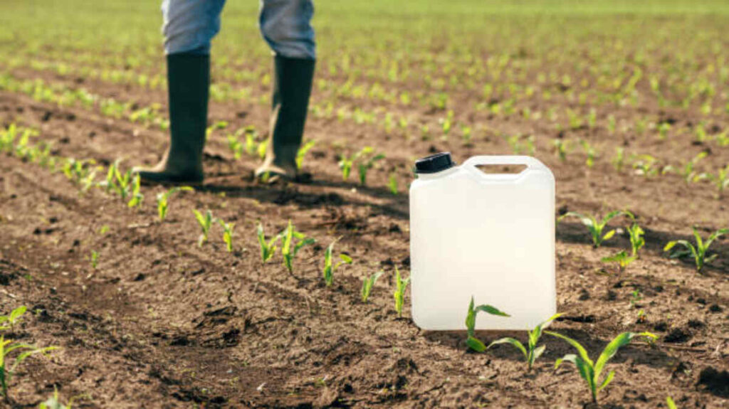 Often the Role of Biochar inside Carbon Sequestration