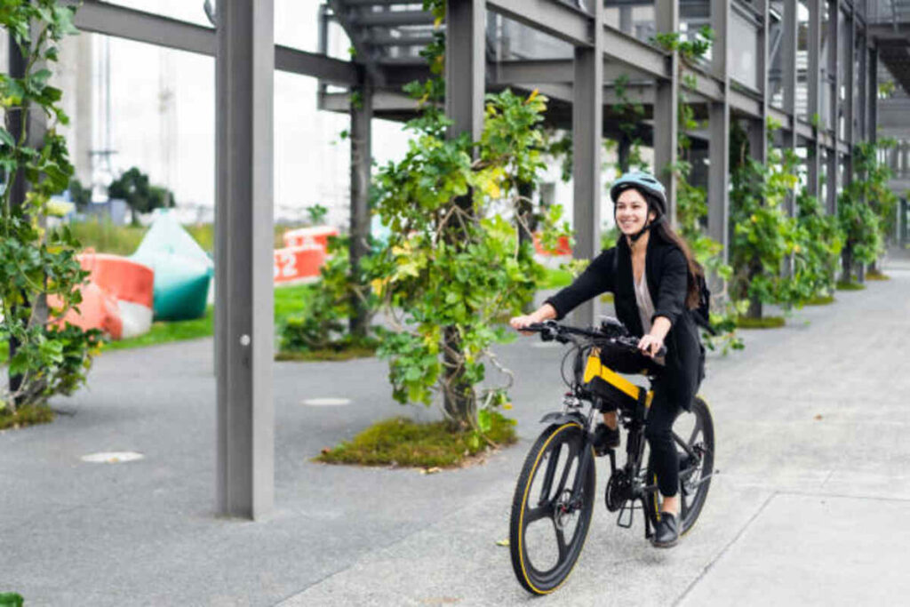 Talaria eBike The Future of Electric Mountain bikes