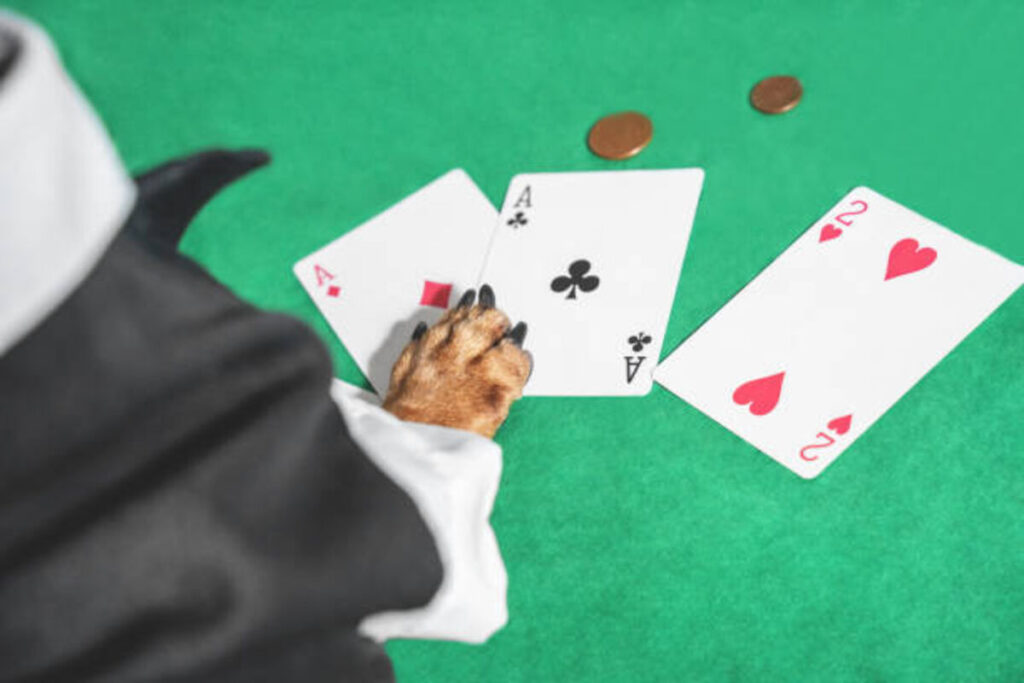 The best way to play the Betfido bet