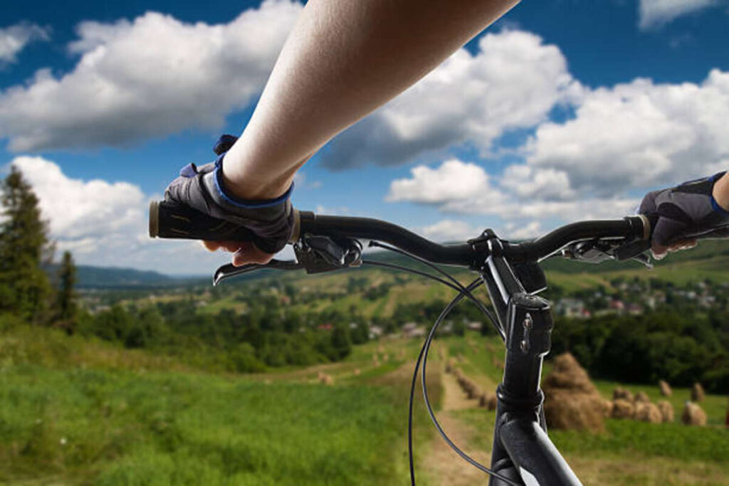Guida di Mountain bike