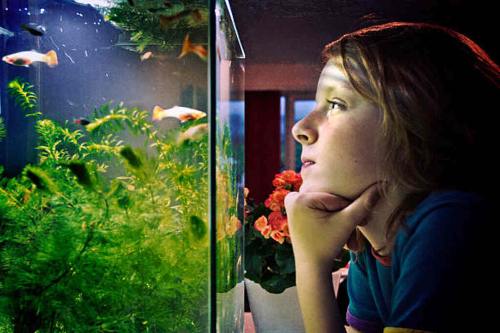 Aquarium