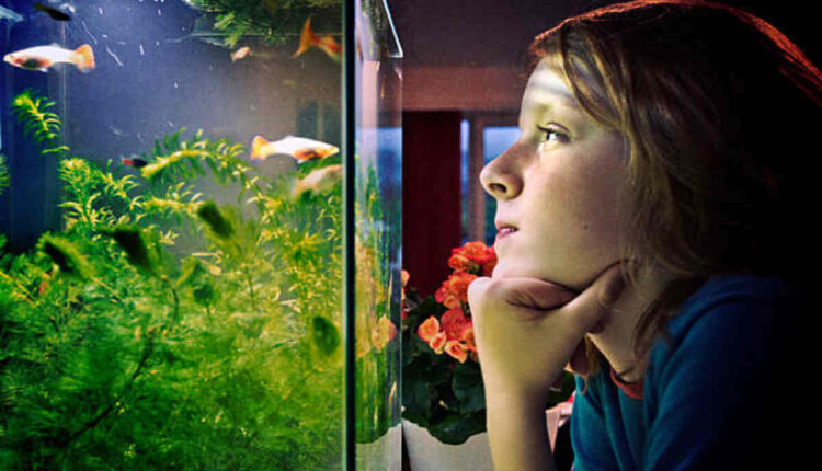 Aquarium
